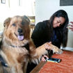 Picture of Custom Pet Jewelry